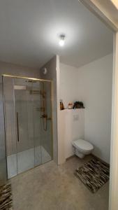 a bathroom with a glass shower and a toilet at Sous les Capucines in Saint-Gervais-les-Bains +7 photos