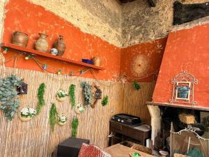 a kitchen with an orange wall with plants and a stove at La Vigneronne in Maureilhan-et-Raméjan