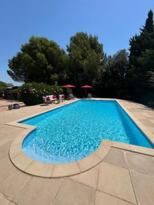 a large swimming pool with blue water at The yurt at Gites 474 in Sallèles-dʼAude