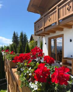 a bunch of red flowers in a planter outside of a house at Villa Bergbliss in Bukovel +50 photos