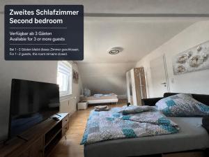a living room with a bed and a flat screen tv at Ferienwohnung Zentral in Lörrach - KONUS Gästekarte inklusive in Lörrach