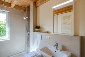 a bathroom with a sink and a toilet and a mirror at Heideröschen Park Heideröschen 5c in Zingst +20 photos