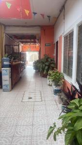 an empty garage with plants in the middle of it at Hotel Real in Chiapa de Corzo