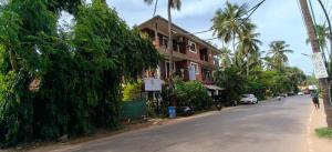 a building on the side of a street with trees at Hotel Casa viora at swimming pool in Calangute