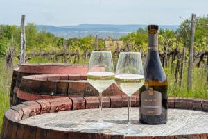 two glasses of white wine sitting on a barrel at KisEtyek Vendégház in Etyek +15 photos