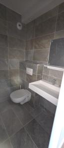 a bathroom with a toilet and a sink at hugotel in Francescas