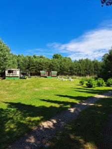 a grassy field with sheep in the distance at Lini Guest House in Nīca