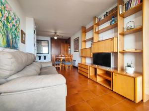 a living room with a couch and a television at URB. PEDRAS NEGRAS in Pontevedra