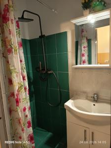 a green bathroom with a shower and a sink at Studioul vacanțelor din Saturn 2 in Saturn