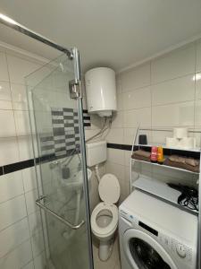 a bathroom with a toilet and a washing machine at Hide Avenue Dedinje in Dedinje