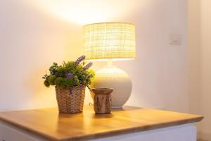 a table with a lamp and a vase with a plant at El Valle apartment centro Orotava in La Orotava