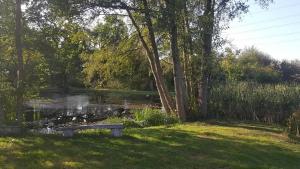 a park bench sitting in the grass near a pond at Studio a la campagne in Les Bordes