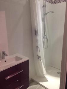 a white bathroom with a sink and a shower at Studio a la campagne in Les Bordes