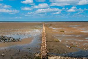a long road in the middle of a beach at Ferienwohnung Wattwurm Ockholm in Ockholm