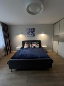 a bedroom with a large bed with a blue comforter at Taikos apartments in Kupiškis