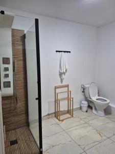 a bathroom with a toilet and a glass shower door at Casa Ada in Arpaşu de Sus +18 photos