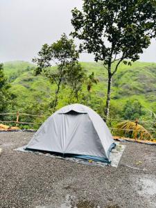 a tent sitting on the side of a road at Gandhara Tent camping in Vagamon +23 photos