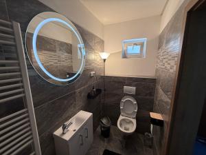 a bathroom with a sink and a toilet and a mirror at Apartmány Adam in Sedlec