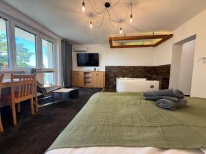 a bedroom with a large bed and a bath tub at Apartmány Adam in Sedlec