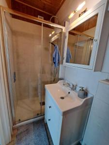 a bathroom with a shower and a sink and a mirror at Il Nido Viola in Arbedo-Castione