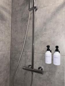 a shower with two shampoo bottles in a shower stall at Studio Anvers in Antwerp +18 photos