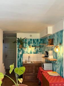 a kitchen with a sink and a counter top at La maison colimaçon in Clans +13 photos