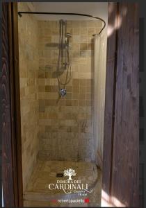 a shower stall in a bathroom with a shower at Dimora dei Cardinali in Agropoli +68 photos