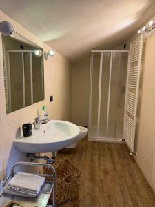 a bathroom with a white sink and a shower at Agriturismo Fruske in Aurisina