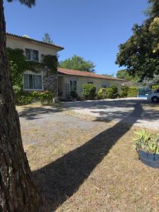 a house with a tree in front of it at Aux Châtaigniers in Langon