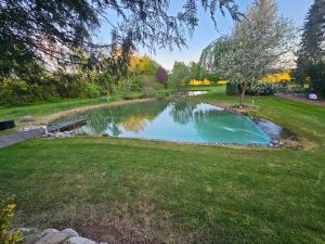 a pond in the middle of a yard at Natur pur in Neuhorst