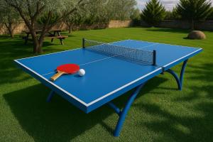 a blue ping pong table with a ball and a racket at Helen Troya Hotel Geyikli in Çanakkale