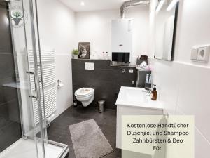 a bathroom with a toilet and a sink and a shower at Stierpartment am Pfälzer Wald nähe Outlet Center Zweibrücken in Pirmasens +15 photos