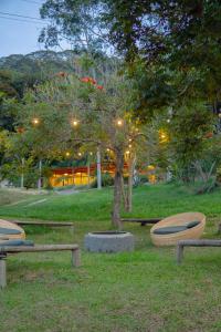 a group of benches in a park with a tree at Hotel Fazenda Upã Moña in Vassouras +114 photos