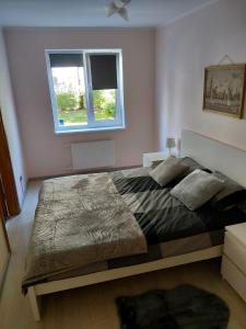a bedroom with a large bed and a window at Apartament orhideja 11 in Riga