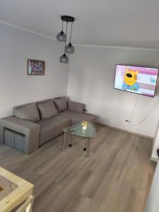 a living room with a couch and a table at Apartament orhideja 11 in Riga