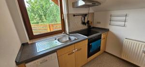a small kitchen with a sink and a window at Ellenberg Appartements - Ferien- und Monteurs-Wohnung in Geislingen