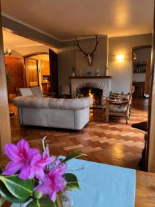 a living room with a couch and a fireplace at Hotel El Ciervo in Villarrica