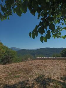 a view of a field with mountains in the background at Tredici lune B&B in Finocchito +11 photos