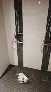 a zebra animal laying on the floor of a shower at Saimaan Rantavilla Zebra in Imatra +29 photos