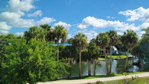 a view of a river with palm trees in a park at Plantation Resort on Crystal River in Crystal River