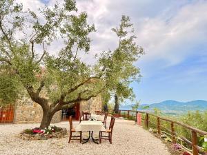 a table and chairs under a tree on a patio at Agriturismo Il Vecchio Carrubo in Castellammare di Velia
