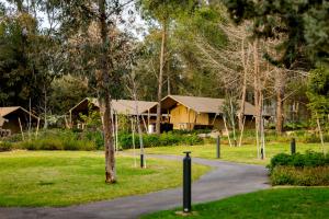 a house in the middle of a park with a road at Katzrin Village Glamping in Qasrîne