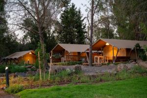 a building with a tent in the woods at Katzrin Village Glamping in Qasrîne