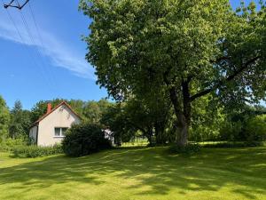 a tree in a yard next to a white house at Chata pod Jilmy in Pelhřimov