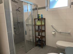 a bathroom with a shower with a glass shower stall at Ferienwohnung Seeblick in Pleinfeld +15 photos