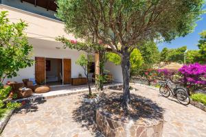 a tree in a pot in front of a house at Sos Dorroles Motoparking in Cala Gonone