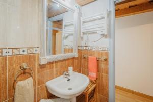 a bathroom with a sink and a mirror at La Casa De La Golondrina in Pedro Bernardo