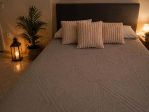 a bedroom with a bed with two pillows and a plant at Rouchotas Studios by Viktor 1rst Floor in Argostoli