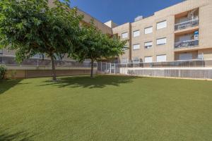 two trees in a lawn in front of a building at Planta baja Marita in Deltebre