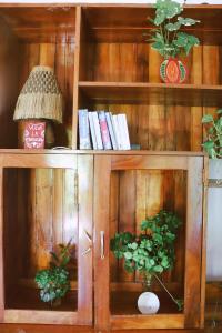 a wooden book shelf with two potted plants and a lamp at LahSelva Pousada e Hostel in Itacaré